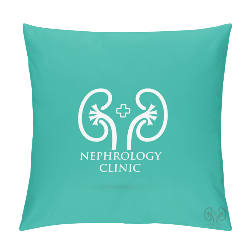 Personality  Kidneys Symbol Pillow Covers