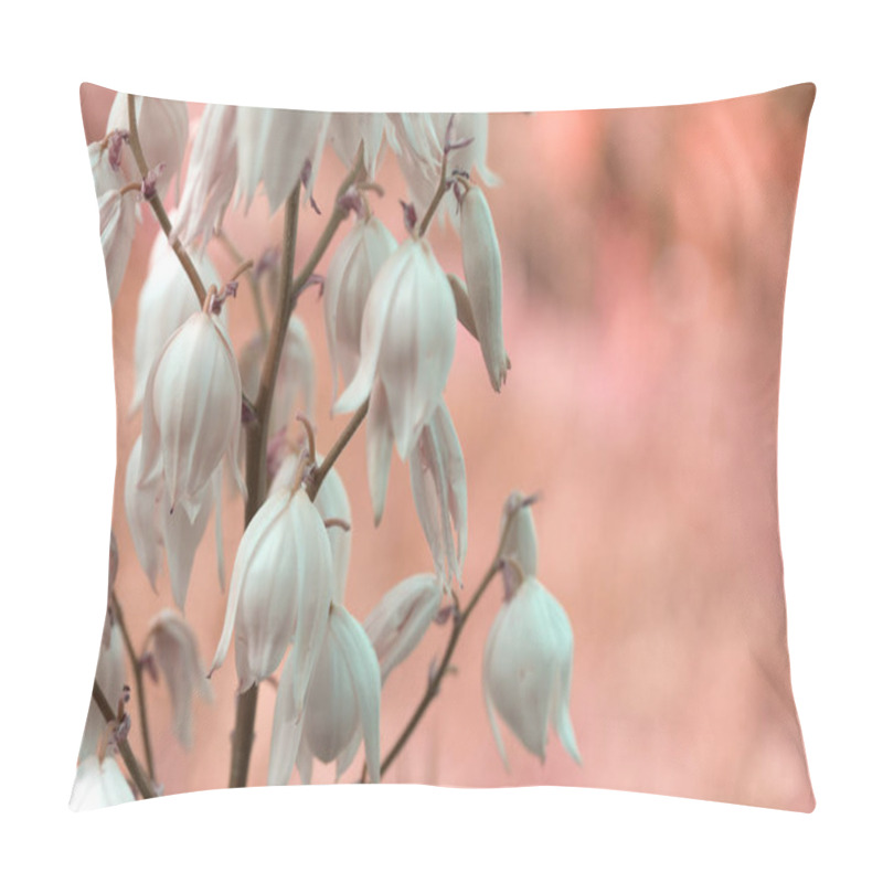 Personality  Decorative Yucca Plant. Flowers Of Yucca. Blooming Yucca Bush.  Pillow Covers