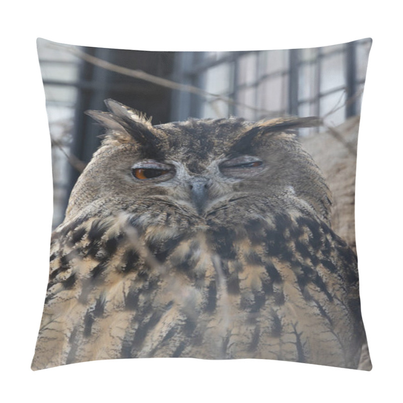 Personality  The Eurasian Eagle Owl Preys On Mammals, Birds, And Reptiles. Photo Taken In Natural Woodland Habitat. Pillow Covers