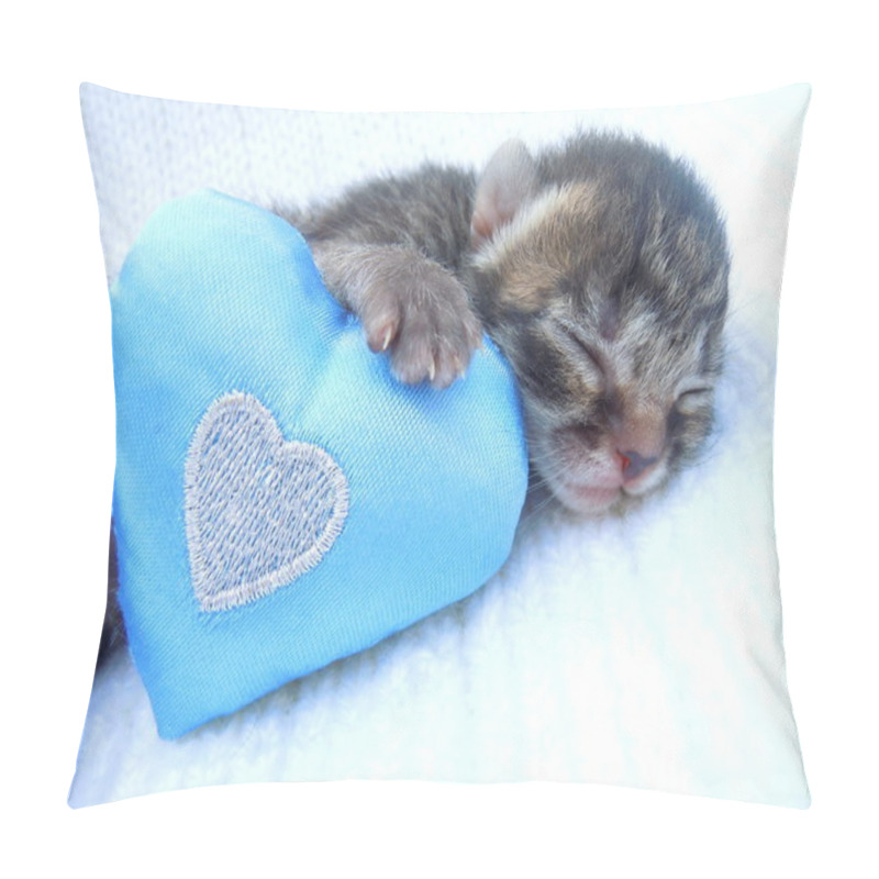 Personality  Sleeping Kitten And Heart Pillow Covers