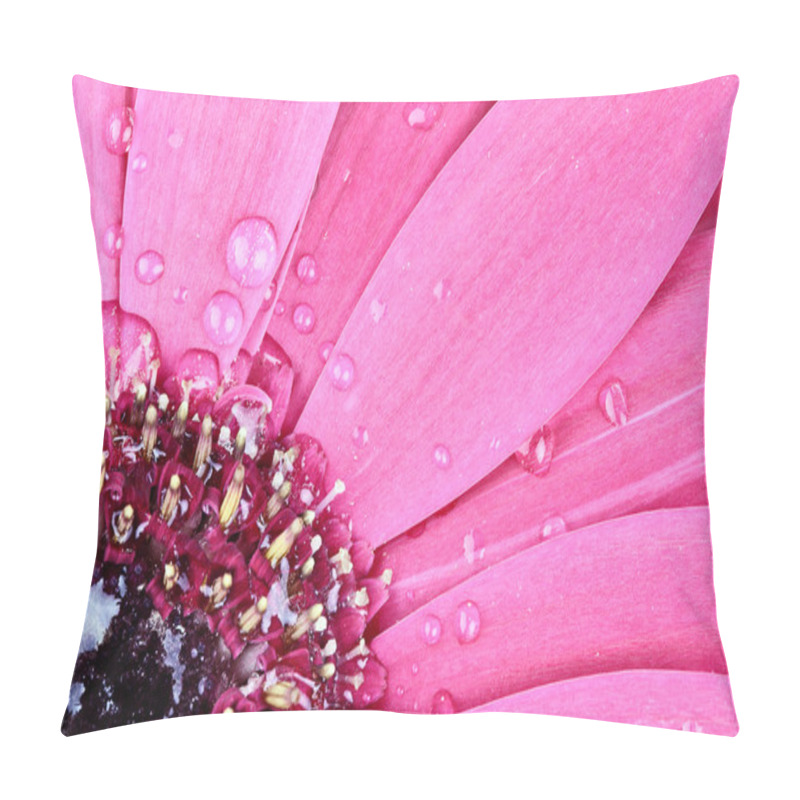 Personality  Pink Gerber Daisy Macro Pillow Covers