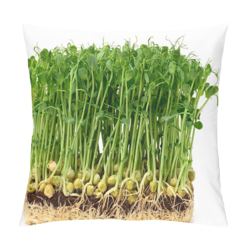 Personality  Sprouted Pea Seeds On A White Background, Microgreens For Salad, Detox Pillow Covers