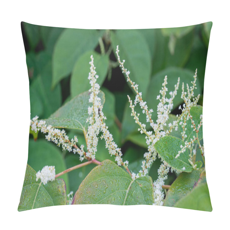 Personality  Reynoutria White Flowers And Leaves  Pillow Covers