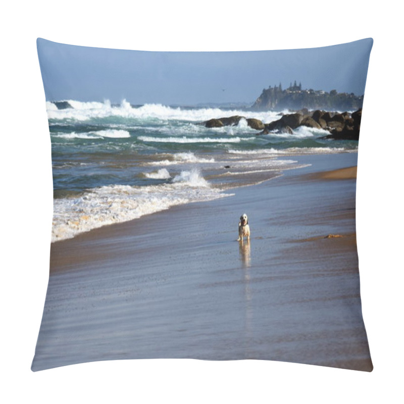 Personality  Small Dog Playing On The Beach Pillow Covers