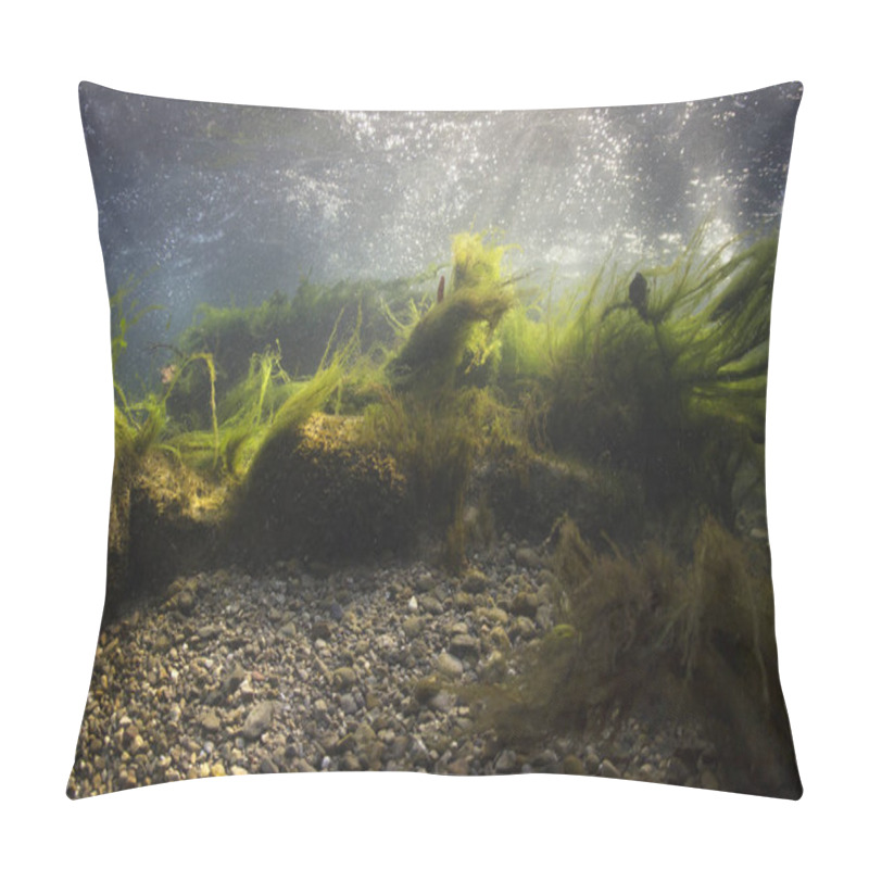 Personality  River Underwater Rocks On A Shallow Riverbed With Clear Water. Underwater Scenery, Algae, Mountain River Cleanliness. Underwater River Habitat. Little Stream With Gravel. Pillow Covers