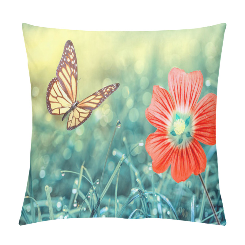 Personality  Macro Shots, Beautiful Nature Scene. Summer Spring Field In Background Blue Sky With Sunlight And Flying Butterfly, Nature View. Pillow Covers