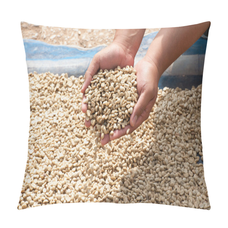 Personality  Dry Coffee Beans In Farmer Hand At Plantation On Pha Hi Mountrai Pillow Covers