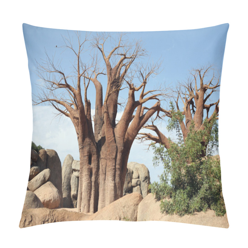 Personality  Baobab Trees In Biopark In Valencia Pillow Covers