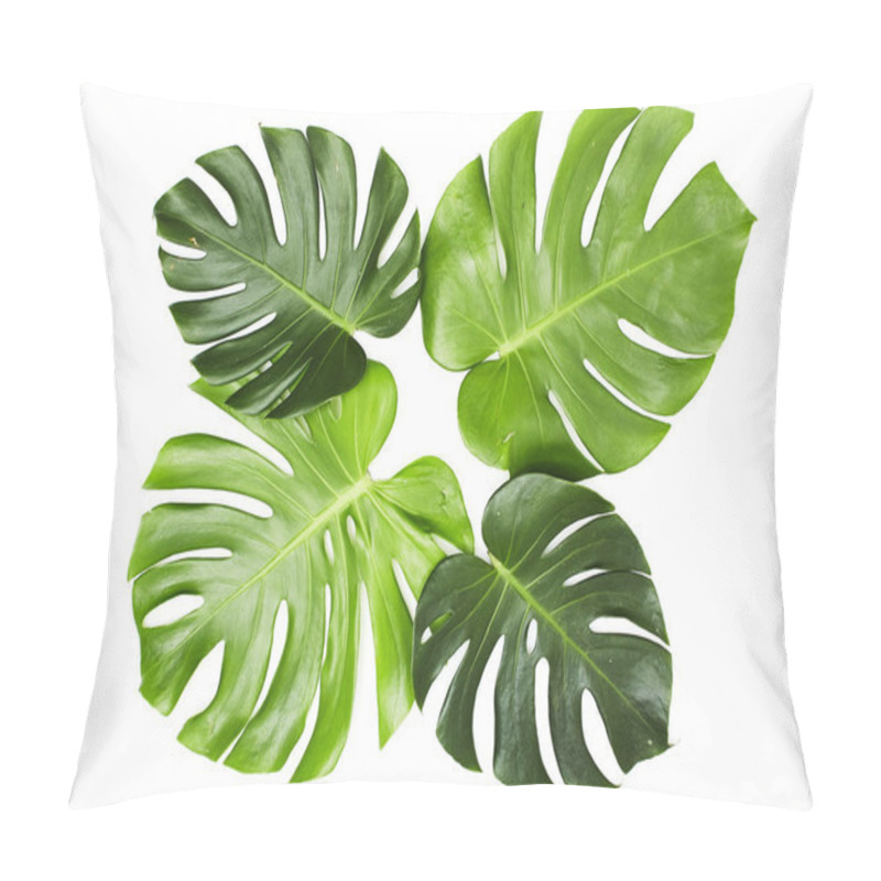 Personality  Monstera Leaves On White Background Pillow Covers