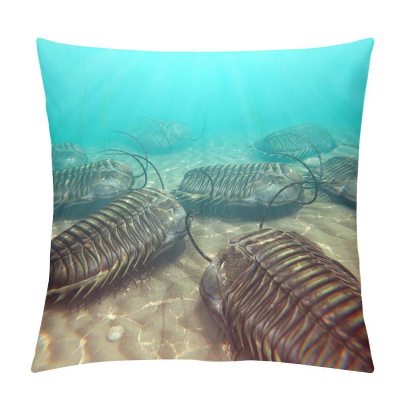 Personality  Trilobites Scavenging On The Seabottom Pillow Covers