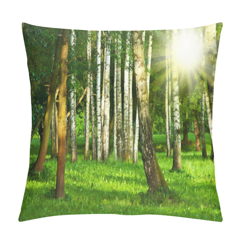 Personality  Birch Tree Pillow Covers