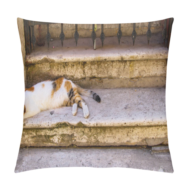 Personality   Street Cat Walking Around At The Sunset In Balat In Istanbul Pillow Covers