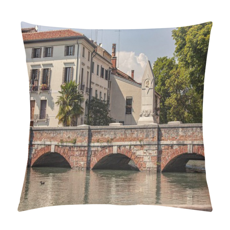 Personality  Treviso, Italy 1 January 2025: Cagnan Grande River Flowing Under A Brick Bridge In Treviso, Italy, With A Monument And Buildings In The Background Pillow Covers