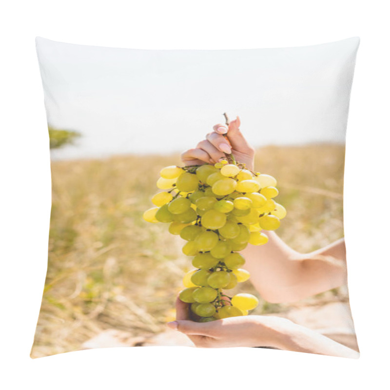 Personality  Partial View Of Woman Holding Bunch Of Delicious Grapes In Meadow Pillow Covers