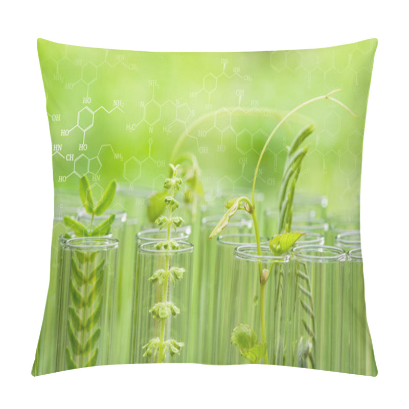 Personality  Young Sample Plant Growing In Test Tube , Biotechnology Research Pillow Covers