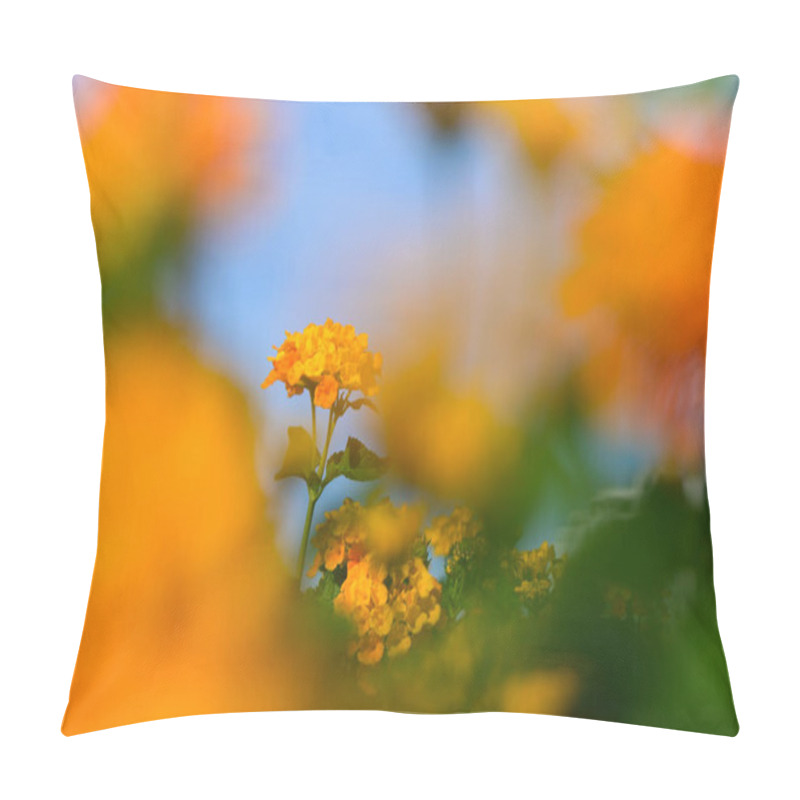 Personality  Bright Yellow Blossoms Thrive In A Serene Garden, Creating A Cheerful Contrast With The Clear Blue Sky Overhead. Pillow Covers