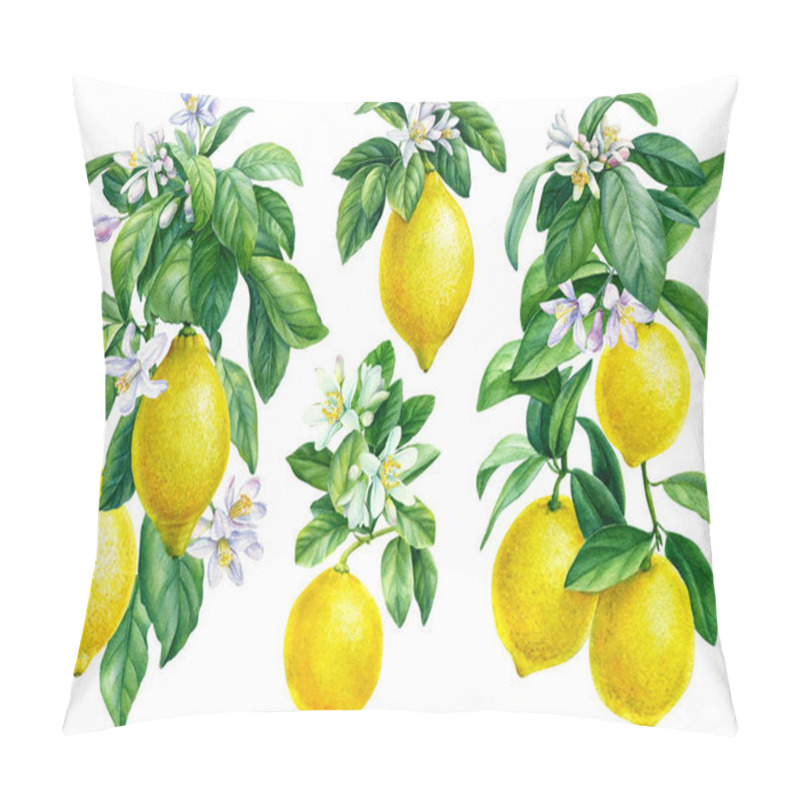 Personality  Set Of Lemons, Flowering Branches Of Citrus On An Isolated White Background, Watercolor Illustration, Ripe Fruit Lemon Pillow Covers