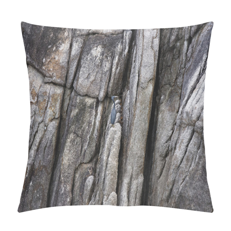 Personality  Thailand, Koh Nangyuan (Nangyuan Island), A Cormoran On The Rocks Of The Island Pillow Covers