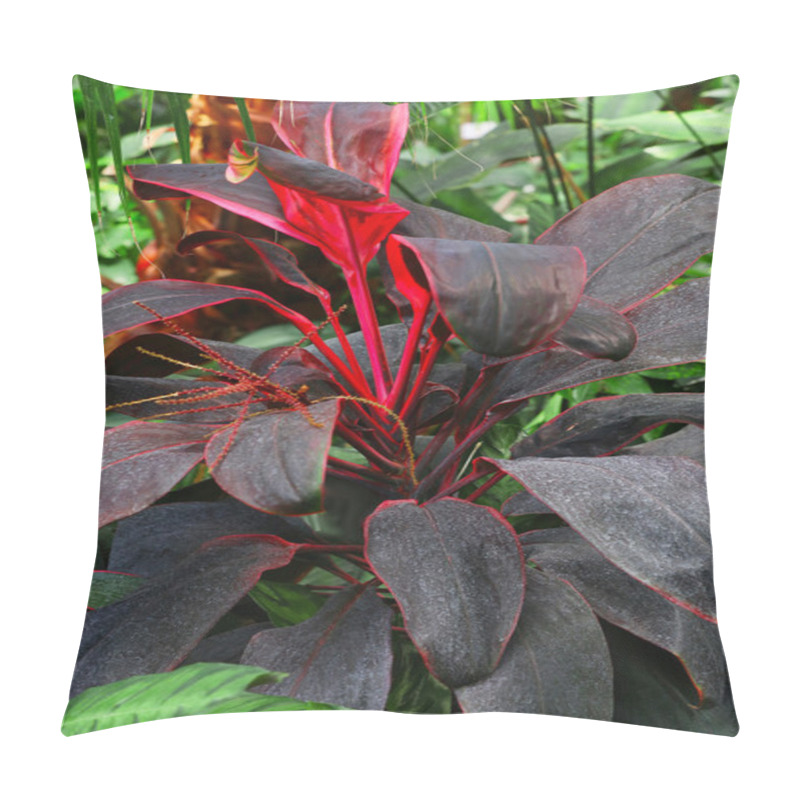 Personality  Beautiful Plant In Garden Pillow Covers