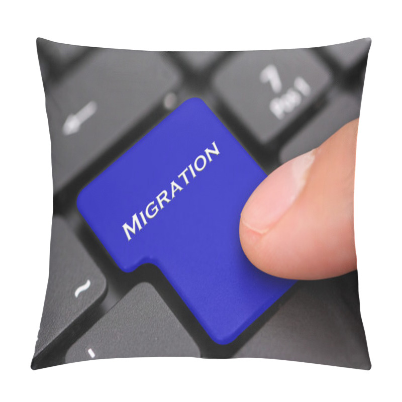 Personality  Migration Pillow Covers