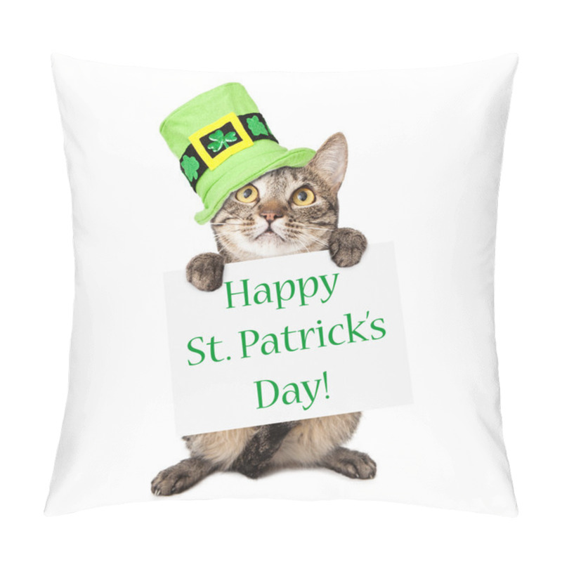 Personality  Cat Carrying St Patricks Day Sign Pillow Covers