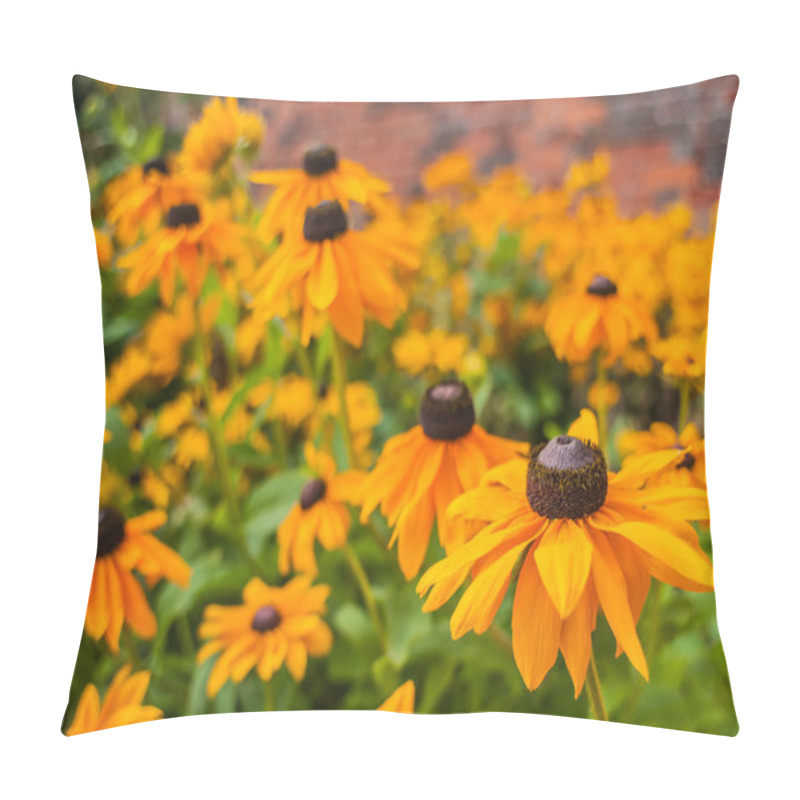 Personality  Black Eyed Susan Rudbeckia Hirta Flowers Pillow Covers