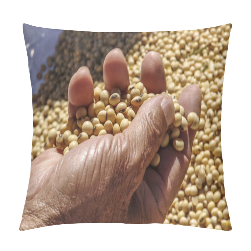 Personality  Hand With Soybean In Brazil Pillow Covers