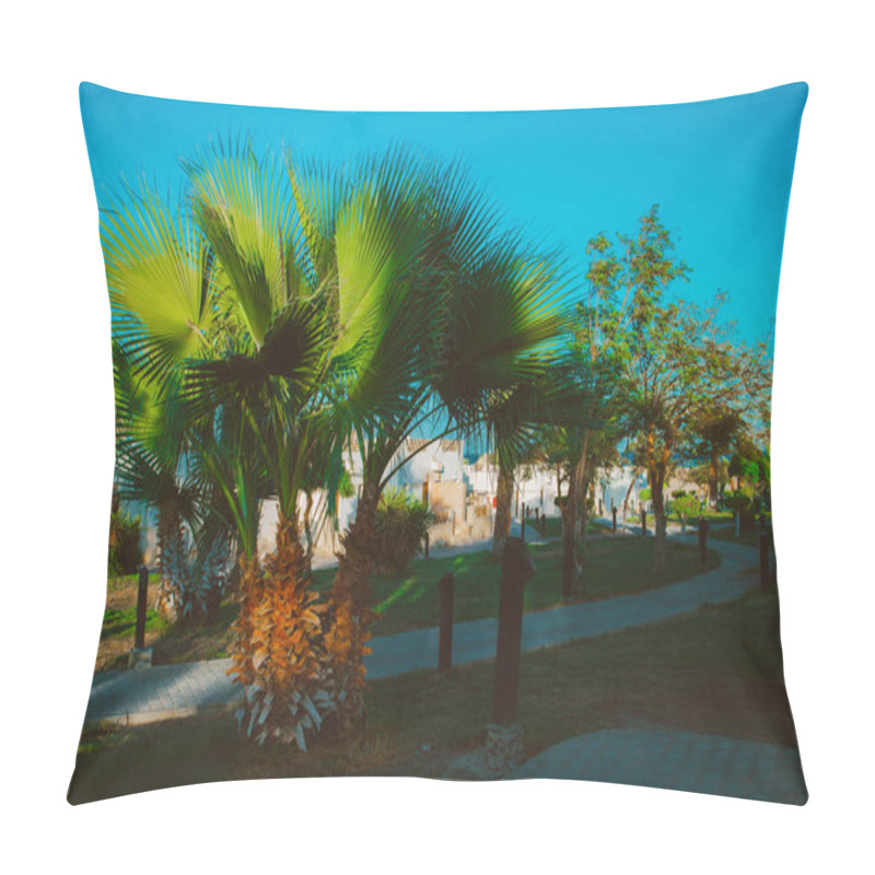 Personality  Palm Trees Against The Background Of Blue Sky And Holiday Houses. Natural Egyptian Landscape Pillow Covers