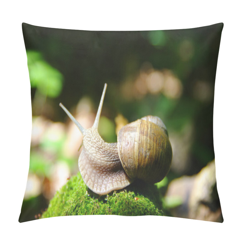 Personality  A Snail Creeps In Forest Pillow Covers