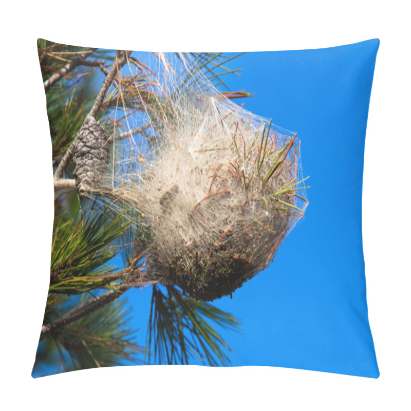 Personality  Pine Processionary Nest On A Pine Tree Pillow Covers