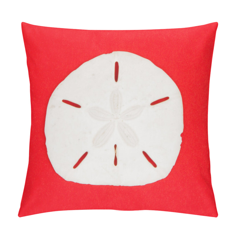 Personality  Sand Dollar Sea Shell Pillow Covers