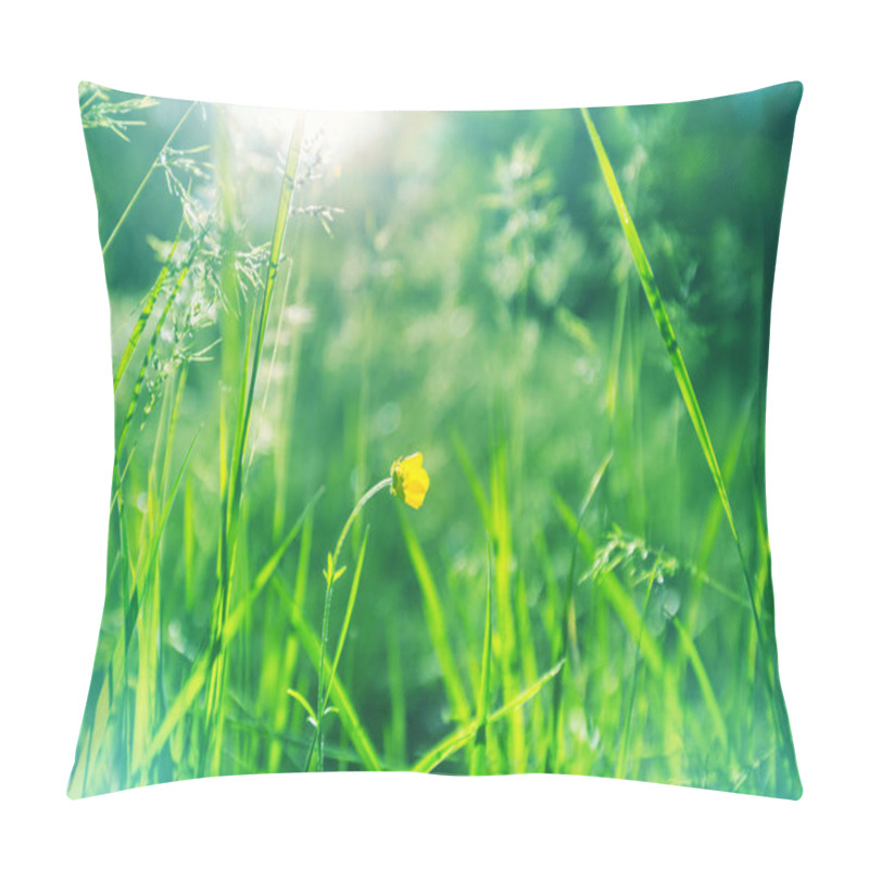 Personality  Sunny Day On The Flowers Meadow. Beautiful Natural Background. Pillow Covers