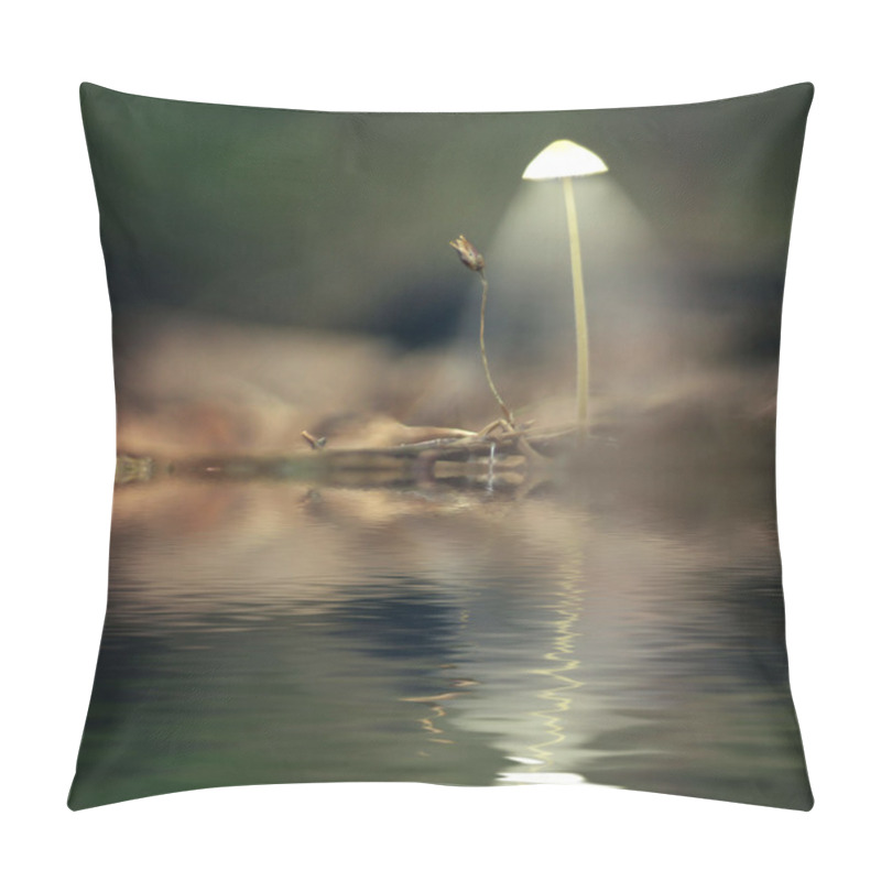 Personality  Mystical Picture Mushrooms Pillow Covers