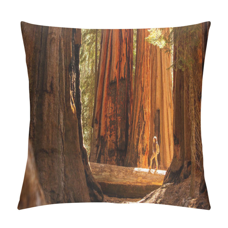 Personality  Hiker In Sequoia National Park In California, USA Pillow Covers