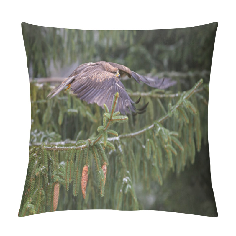 Personality  Black Kite - Milvus Migrans, Beautiful Brown Raptor From European Forest. Birdwatching. Falconry. Pillow Covers