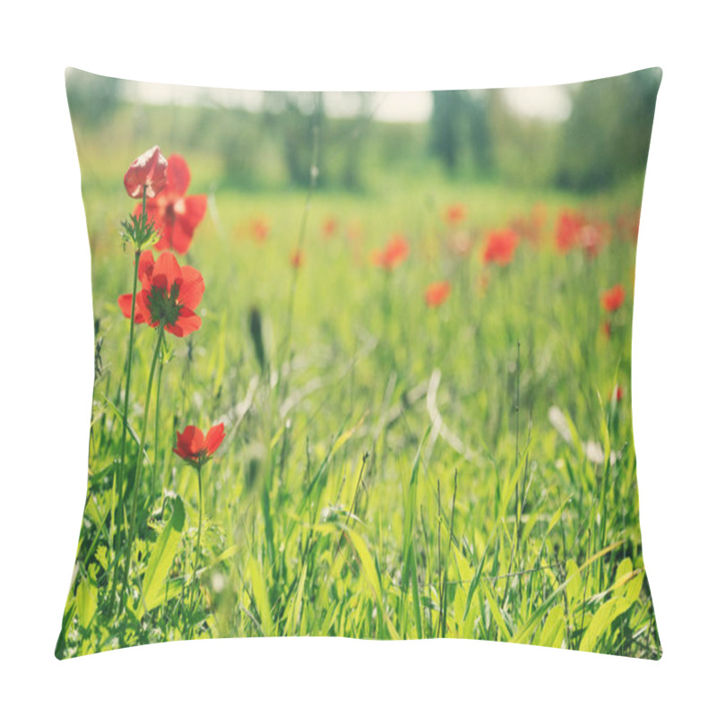 Personality  Red Poppy Flowers On Meadow Pillow Covers