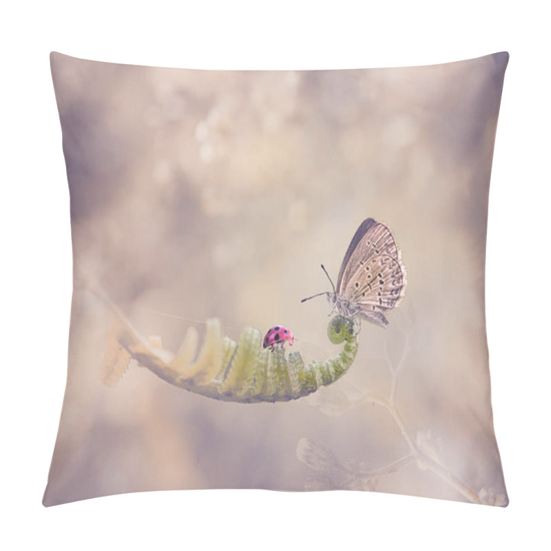 Personality  Butterfly And The Red Lady Bug On The Curves Leave Pillow Covers