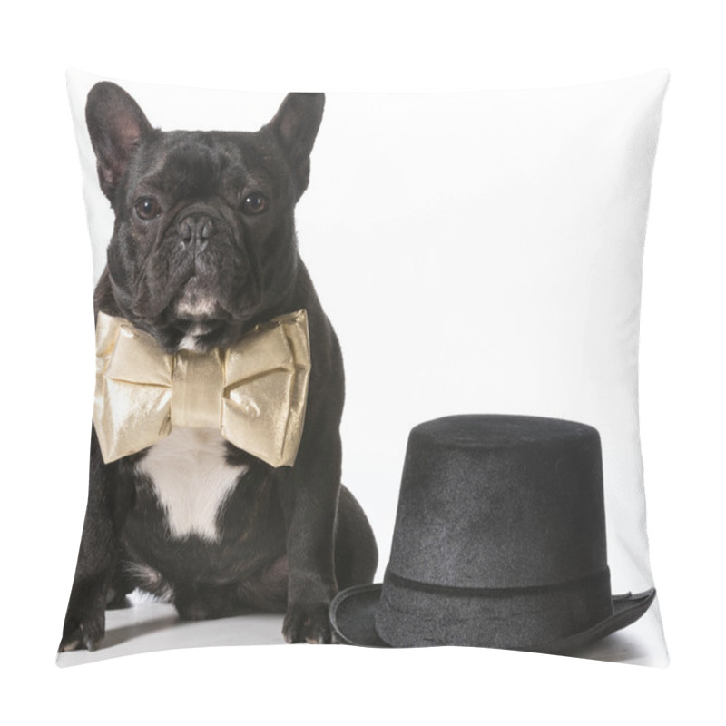 Personality  Formal Dog Pillow Covers