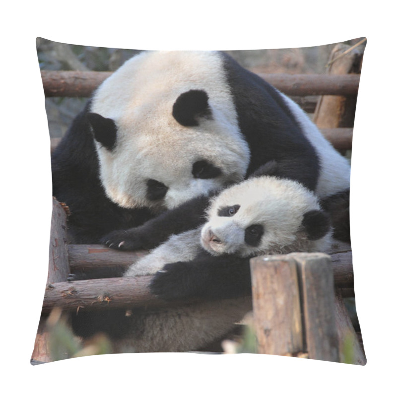 Personality  Panda Mother And Cub At Chengdu Panda Reserve (Chengdu Research Base Of Giant Panda Breeding) In Sichuan, China. Two Pandas Playing With Each Other. Panda With Cub, Chengdu Reserve, China Pillow Covers