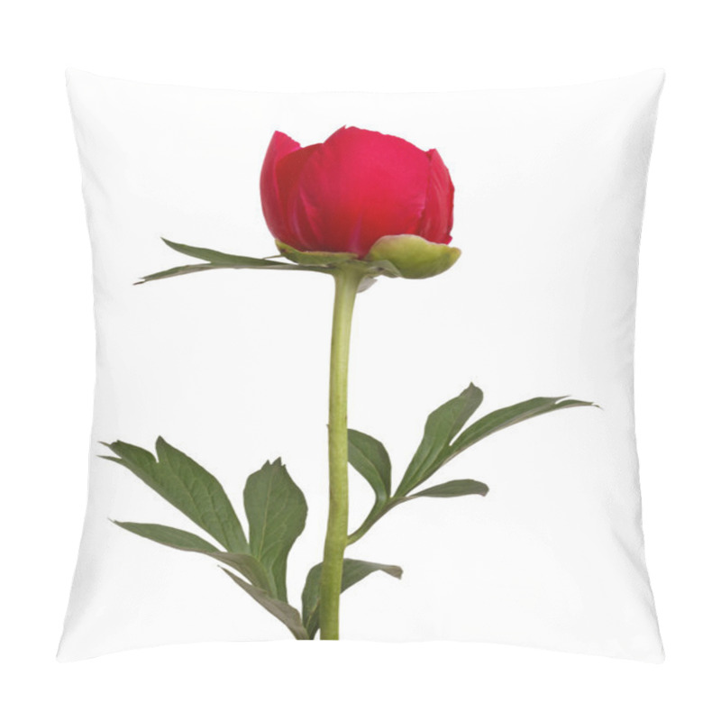 Personality  Red Peony Flower And Stem Pillow Covers