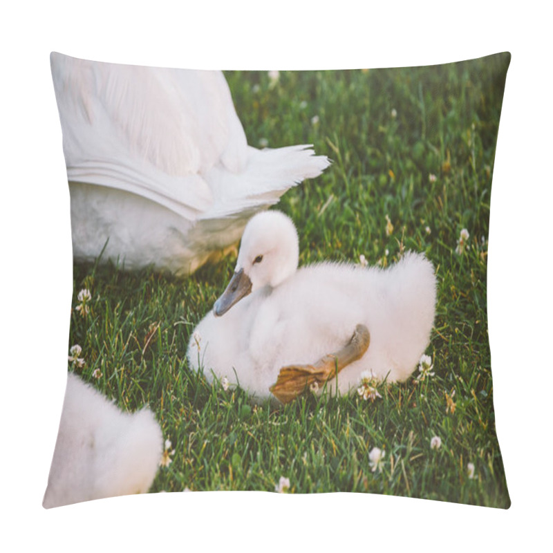 Personality  Little White Baby Swan Learns To Walk On Green Grass Pillow Covers