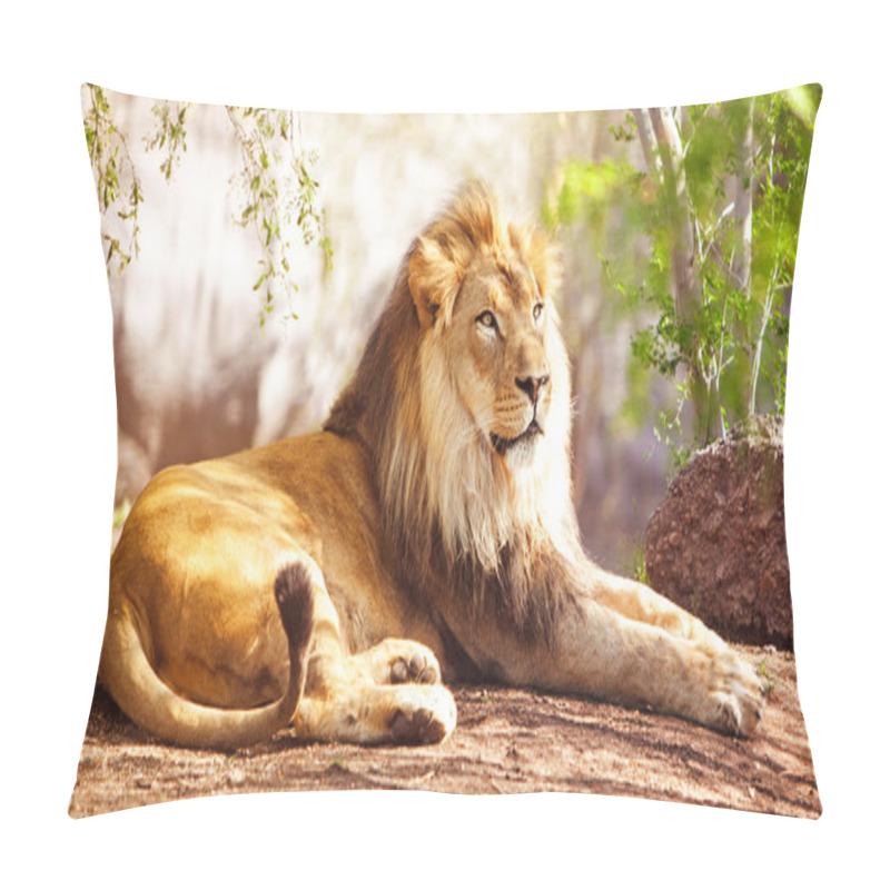 Personality  African Lion Laying In Forest Pillow Covers