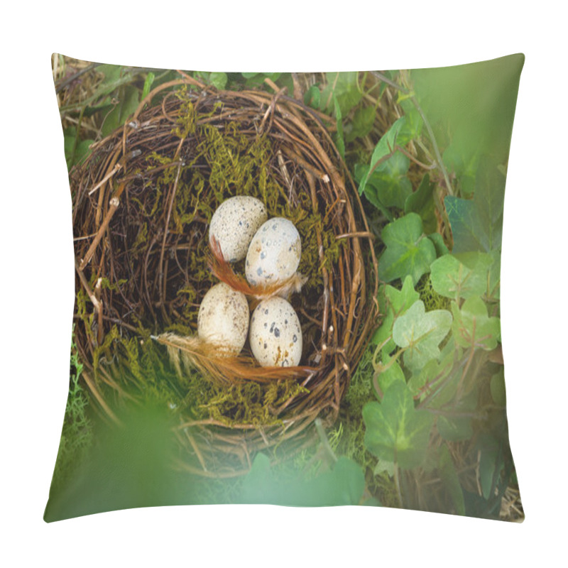 Personality  Hidden Nest With Eggs Pillow Covers