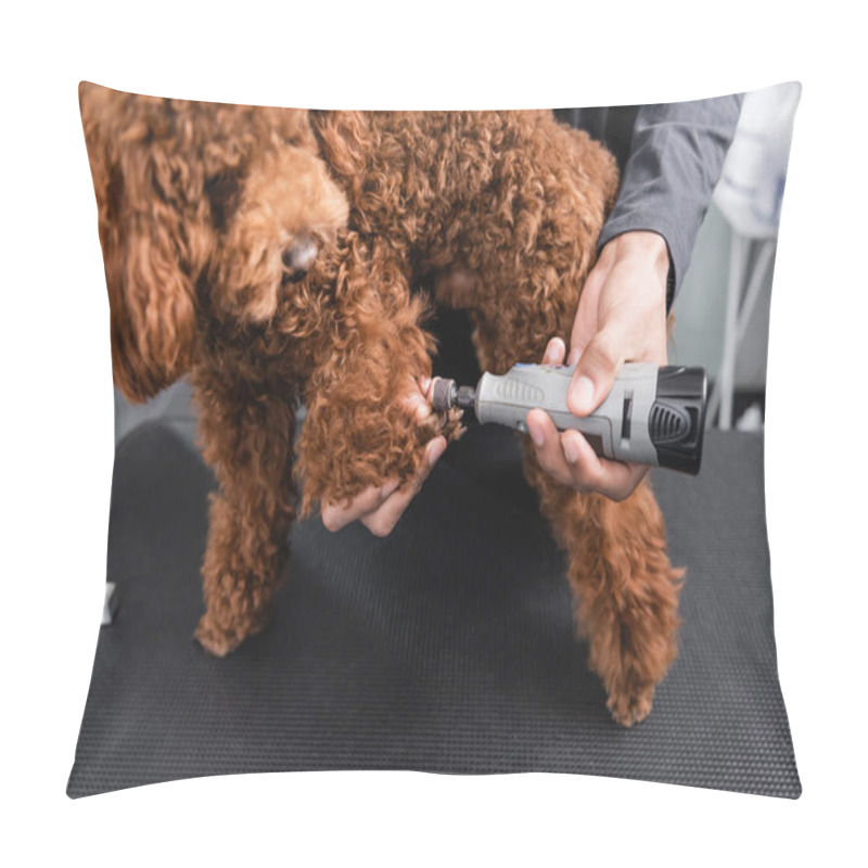 Personality  Cropped View Of African American Man Polishing Claws Of Dog With Nail Grinder Pillow Covers