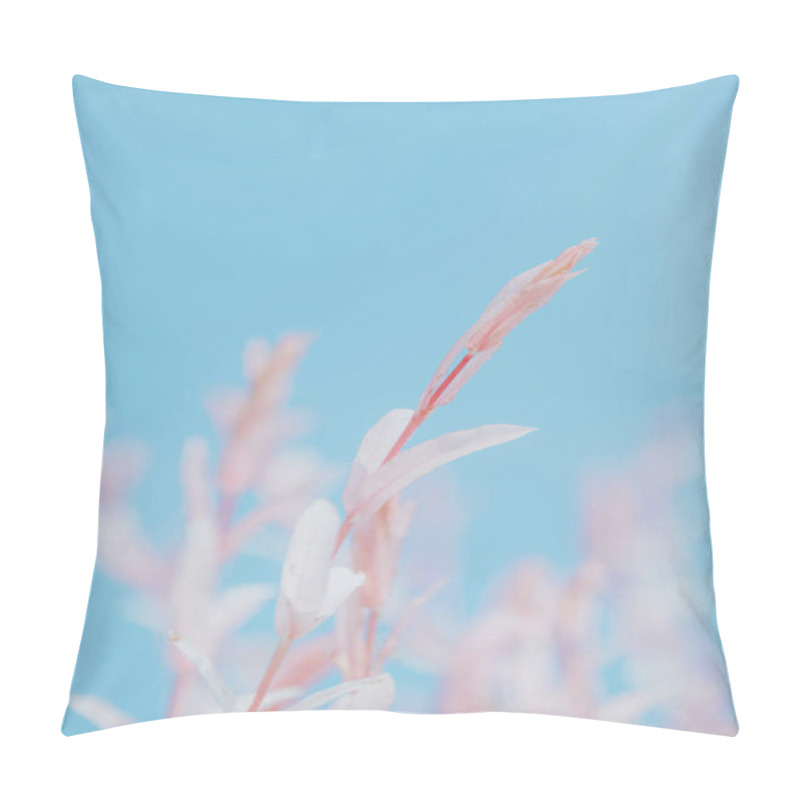 Personality  Delicate Pink Plant Against A Soft Blue Backdrop. Pillow Covers