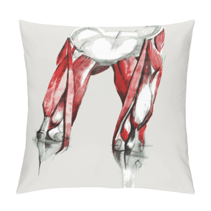 Personality  Front Upper Leg Human Anatomy Pillow Covers