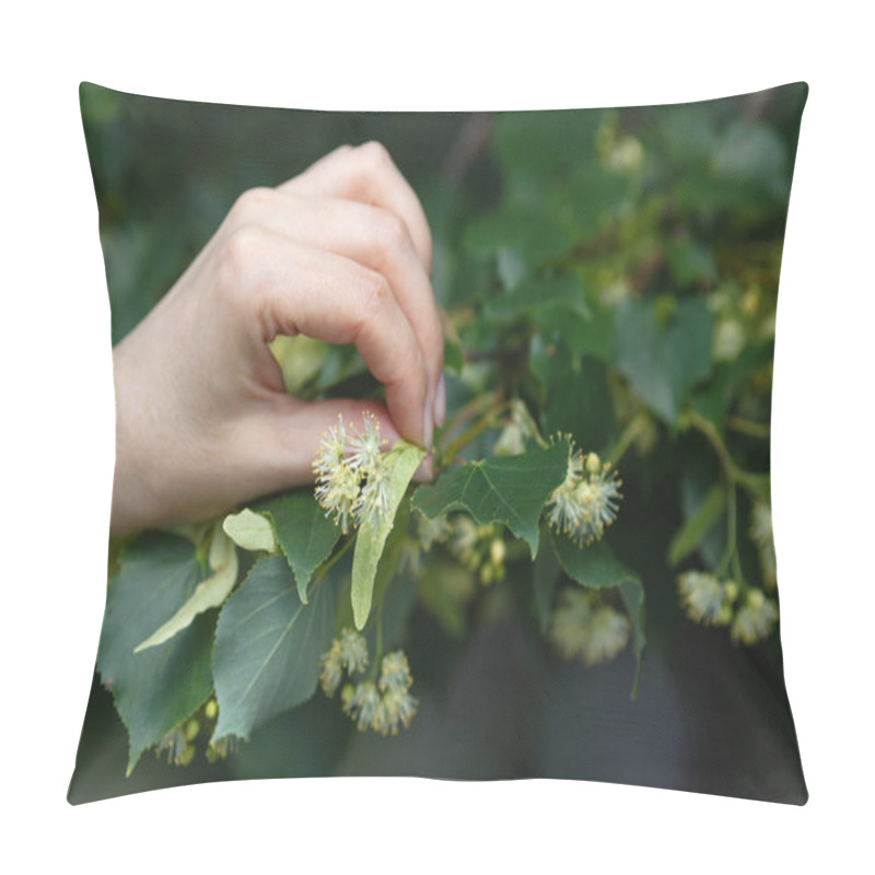 Personality  Linden Blossom Collection Pillow Covers