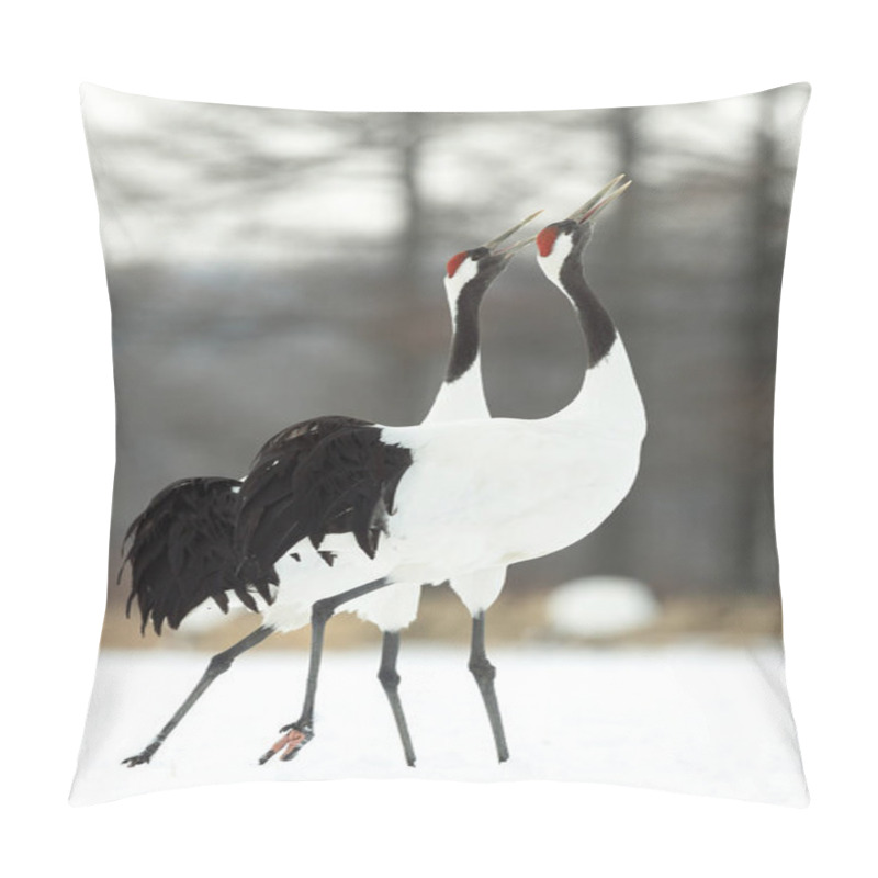 Personality  The Ritual Marriage Dance Of Cranes. The Red-crowned Cranes. Scientific Name: Grus Japonensis, Also Called The Japanese Crane Or Manchurian Crane, Is A Large East Asian Crane. Pillow Covers