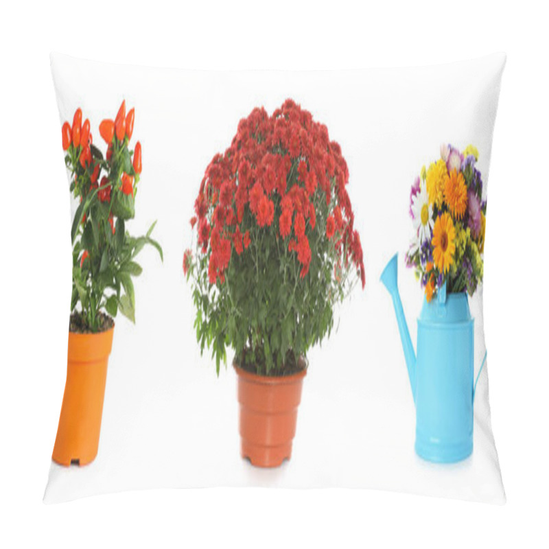 Personality  Set Of Different Blooming Plants In Flower Pots On White Background, Banner Design Pillow Covers