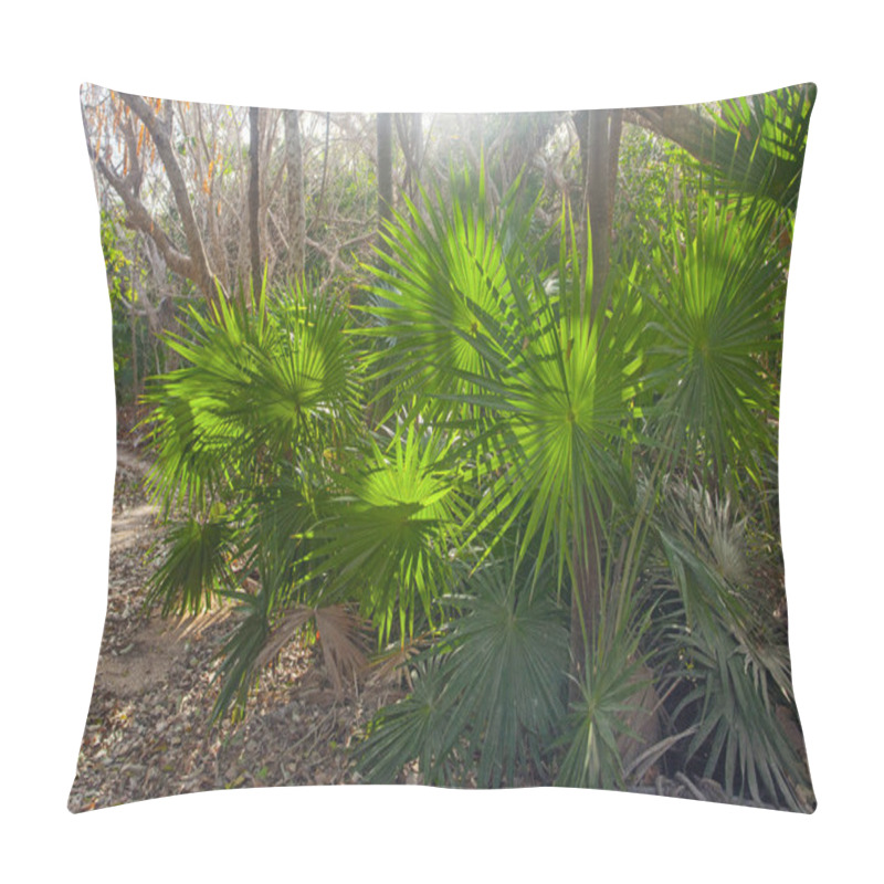 Personality  Early Morning In Park Near Tulum Ruins, Mexico Pillow Covers